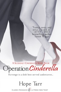 Operation_Cinderella_cvr_RV_July 2013